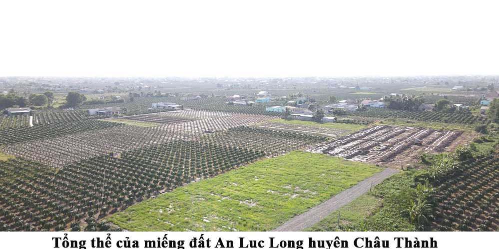 Bán đất rẻ xã An Lục Long huyện Châu Thành tỉnh Long An